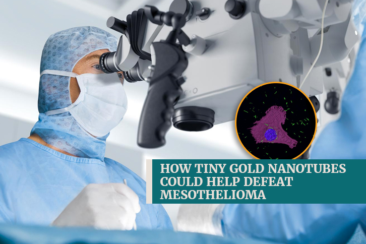 tiny bullets may defeat mesothelioma